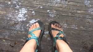 76A4AD8B-1FE7-4079-AA1E-0C096438D1B7