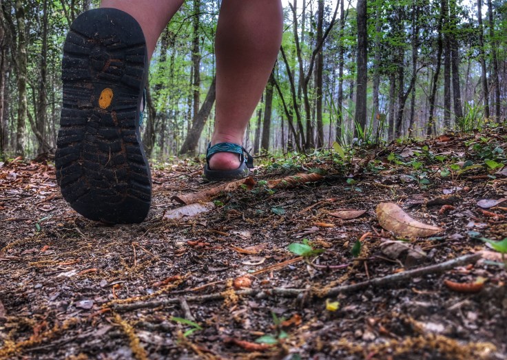 FullSizeRender (14).jpg